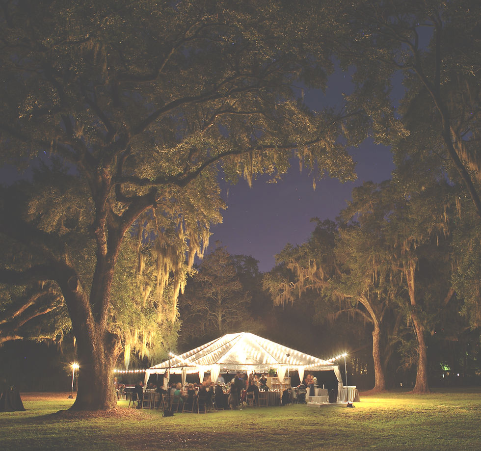 A warmly lit outdoor evening gathering beneath Southern trees